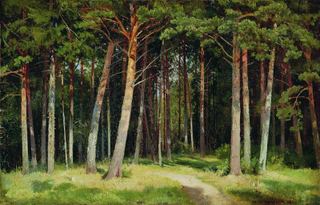 Сосновый лес 1885 41х62