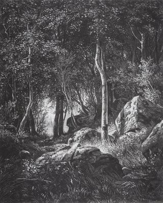 На краю березовой рощи. Валаам, 1859 - 1860 - Иван Шишкин