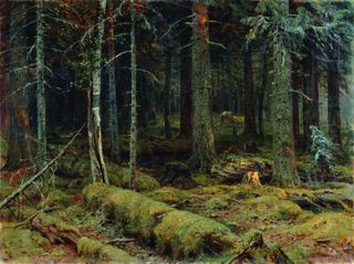 Тёмный лес 1890 92х124