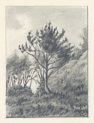 У горы Собачья в Сосницах, 1893 - Николай Рерих