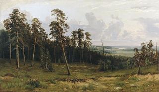 Богатый лог 1877 90х148