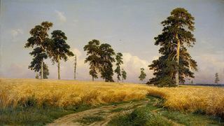 Рожь