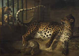 Леопард в клетке перед двумя мастифами, 1739