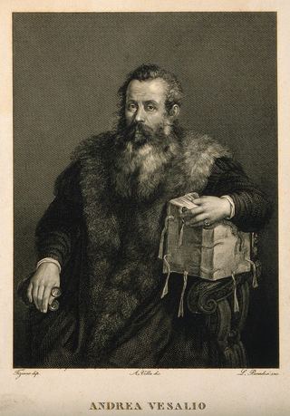Портрет Андреаса Везалия (1514–1564), фламандского анатома.
