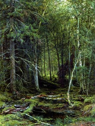 Лесная глушь 1872 209х161
