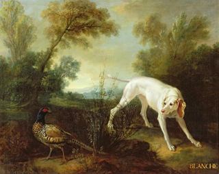 Бланш, сука королевской охотничьей стаи, 1724