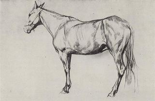 Лошадь, 1884