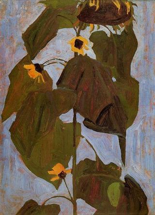 Подсолнух, 1908