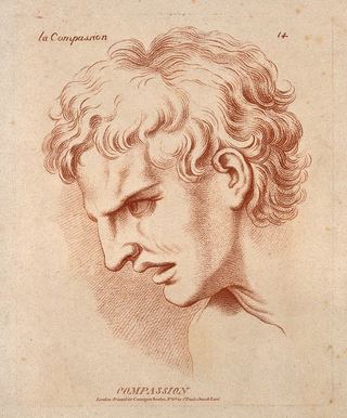 Мужчина, чей профиль выражает сострадание. Офорт в манере мелка В. Эберта, ок. 1770 г., по мотивам К. Лебрена.