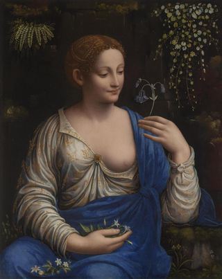 Флора, 1520