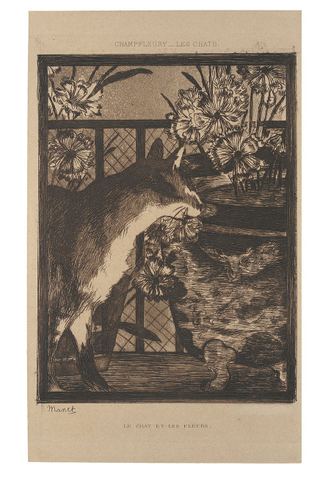 Le Chat et les fleurs (Кошка и цветы)