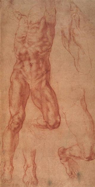 Этюд Амана, c.1508