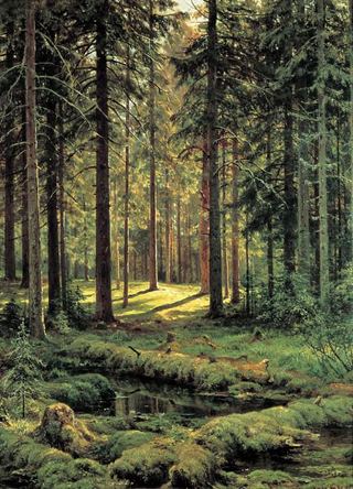 Хвойный лес. Солнечный день 1895 137х103