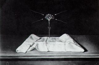 Мистическая гвоздика, 1950 - 1951