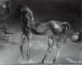 Единорог (незаконченный), 1976