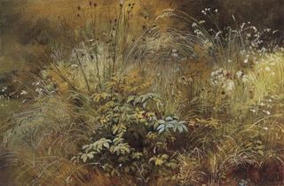 Травки. Этюд 1892 24. 7х39