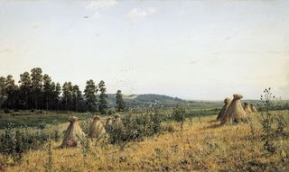 Сжатое поле. Полесский пейзаж