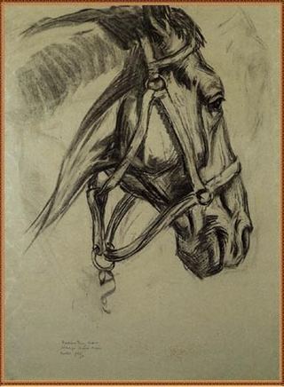 Голова лошади, 1906