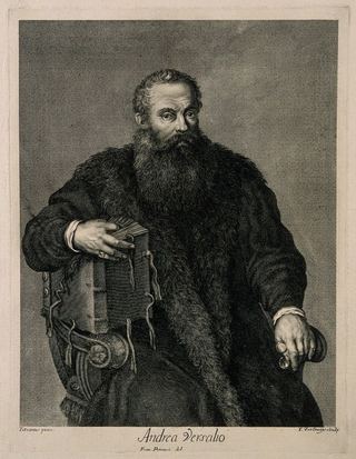 Портрет Андреаса Везалия (1514–1564), фламандского анатома.