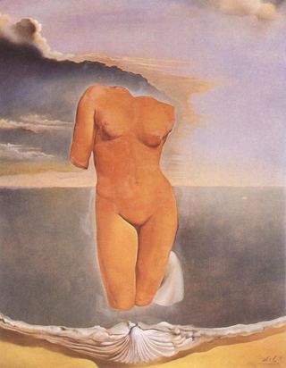 Носорогая мурашка, 1956