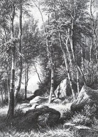 На краю березовой рощи. Валаам, 1859 - 1860 - Иван Шишкин