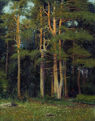 Сосновый бор у Лигова 1895 106