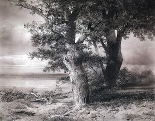 Дубы на берегу. 1867