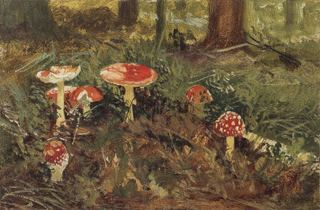 Мухоморы. Этюд 1878-1879 12х19
