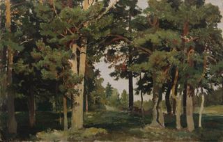 Лес. 1893. Этюд 36х55