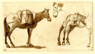 Рисунок мулов, в том числе один в полный рост, 1630 - 1640