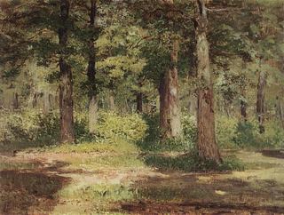 Лес. Солнечный день. . 1883-1884