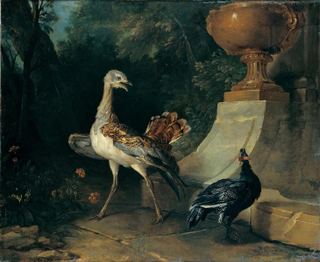 Дрофа и цесарка, 1739