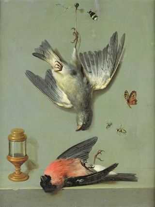 Натюрморт с птицами и насекомыми, 1713