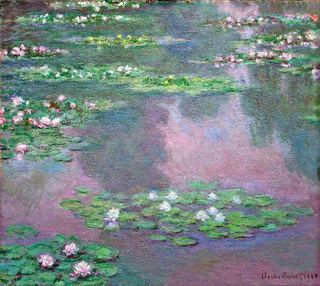 Водяные лилии