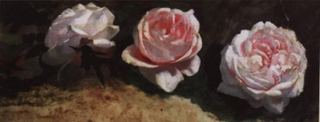 Пионы. Середина 1890-х