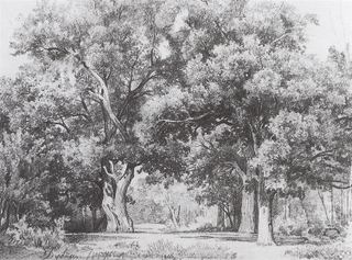 Дубы, 1857 - Иван Шишкин