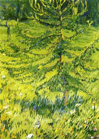 Саженец лиственницы, 1908