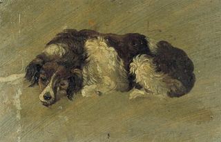 Собака, 1899