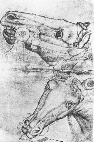 Этюд с лошадиными головами, 1433