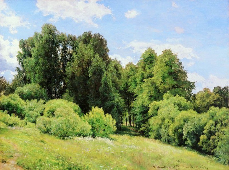Лесная поляна 1897 81х109