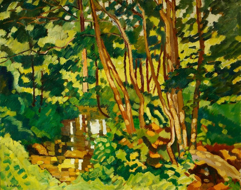 Берега реки в Шуазеле