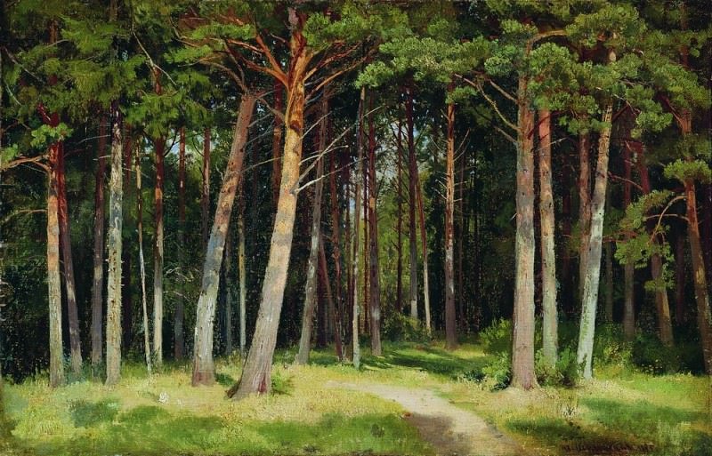 Сосновый лес 1885 41х62