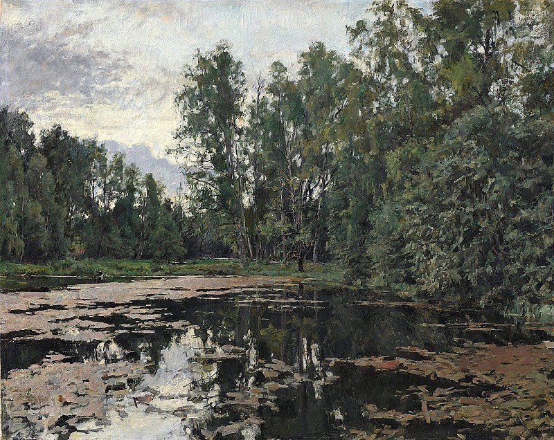 Заросший пруд. Домотканово