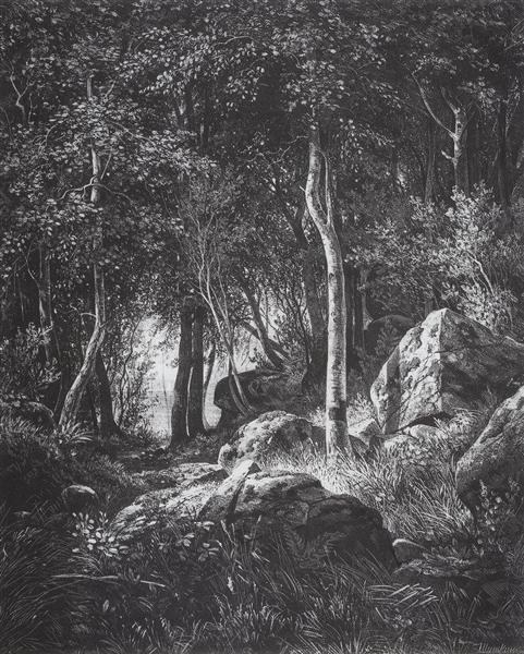 На краю березовой рощи. Валаам, 1859 - 1860 - Иван Шишкин