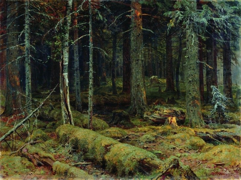Тёмный лес 1890 92х124