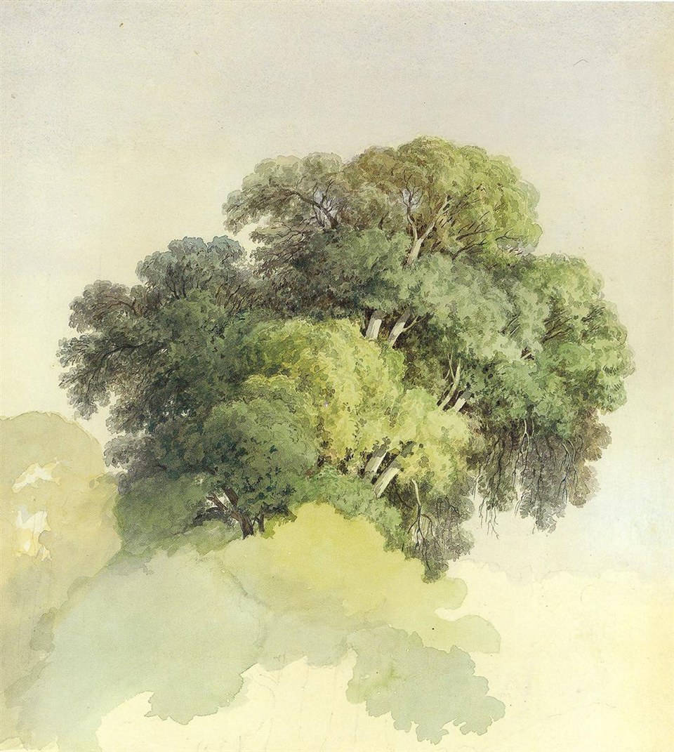 Кроны деревьев, 1867