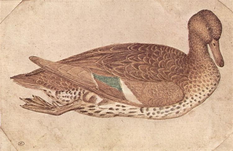 Утка, 1440