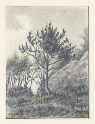 У горы Собачья в Сосницах, 1893 - Николай Рерих
