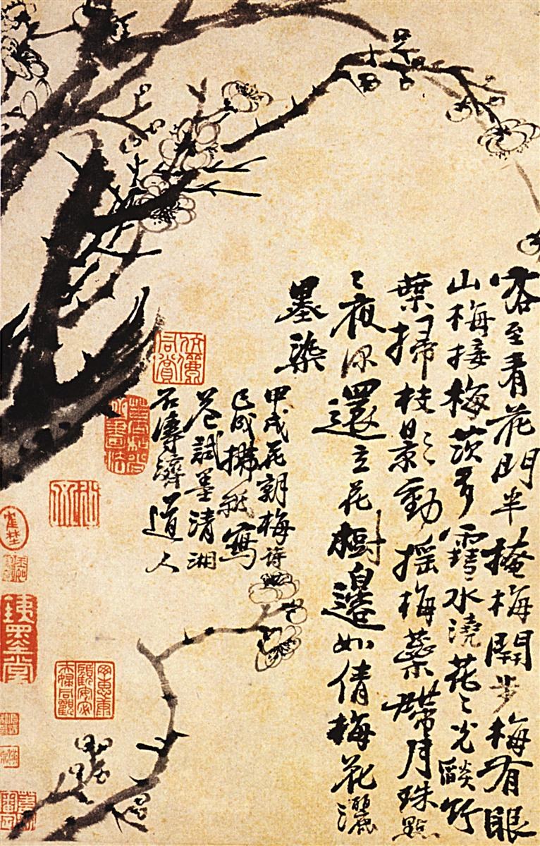 Чернослив в цвету, 1694 - Ситао