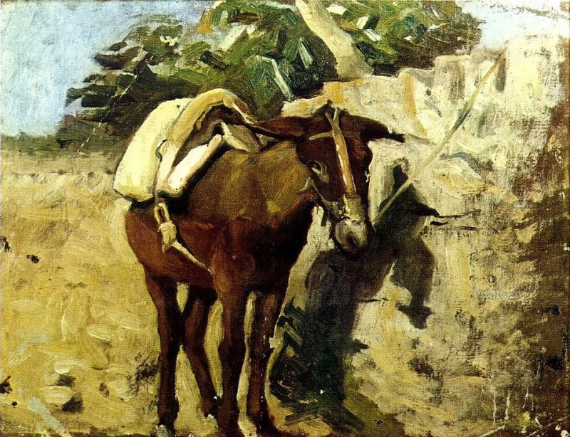 1898 пасмурно